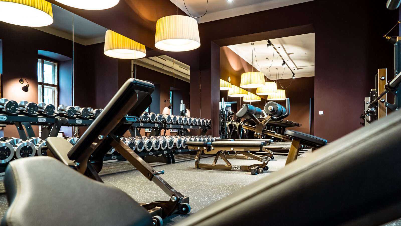 Training im Freihantelbereich